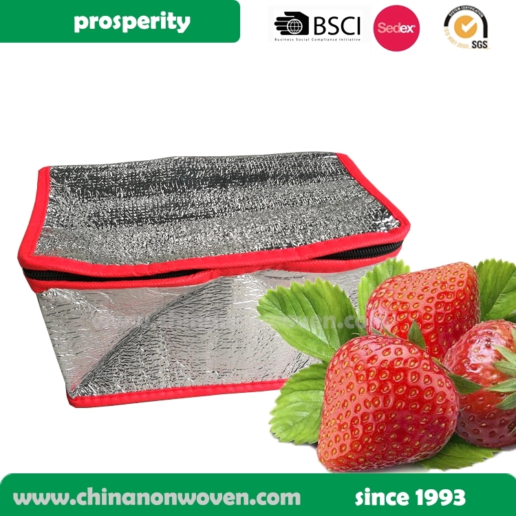 New hot sale food delivery cooler bag, aluminum fo