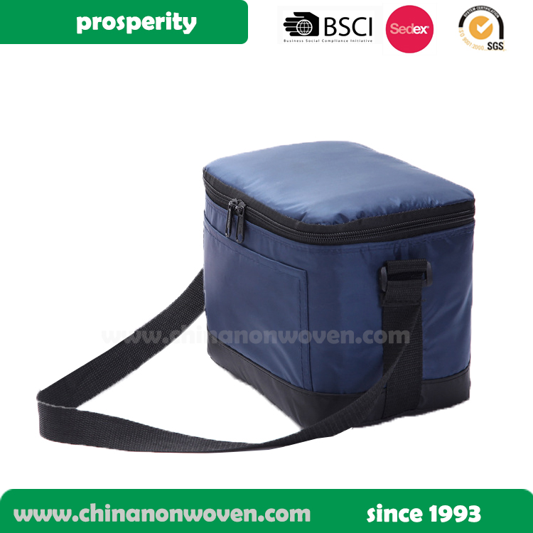 non woven/polyester insulated food cooler lunch ba