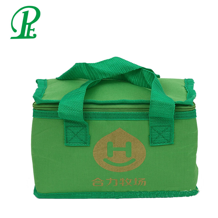 Portable Food Delivery Cooler Bag Thermal Box for